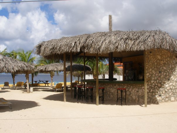 the palapa bar where you will get your orientation, tag, and beer later if you like