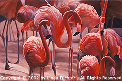 "Sleeping Flamingos" (working title) - Copyright (c) 2002 by Linda Richter - All Rights Reserved